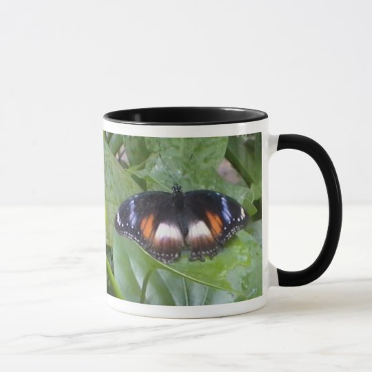 Prized Butterfly Mug