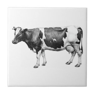 Prizewinning Dairy Cow Ceramic Tile