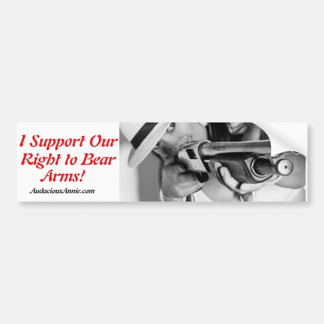 PRO 2A Bumber Sticker (Front)