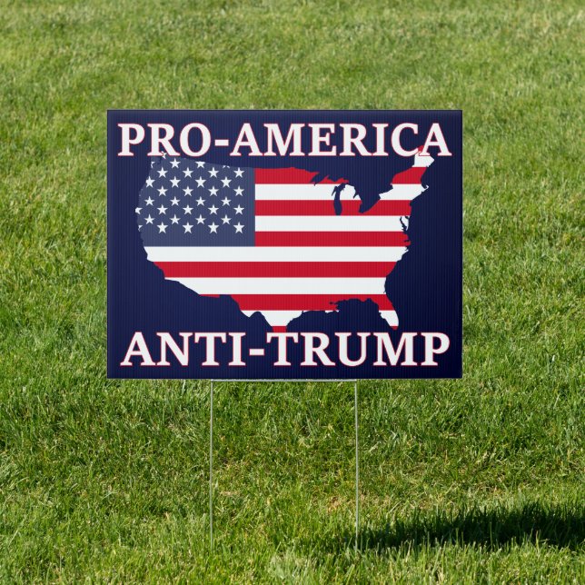 Pro-America Anti-Trump Sign (Insitu)