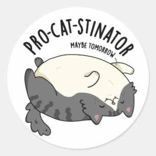 Pro-cat-stinator Funny Fat Cat Pun  Classic Round Sticker