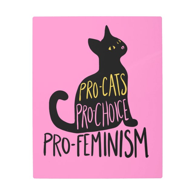 Pro-cats Pro-choice pro-feminism  Metal Print (Front)
