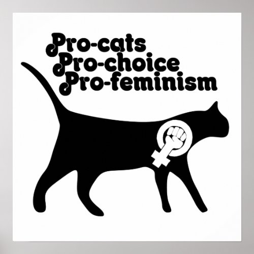 Pro Cats pro Choice pro Feminism Poster