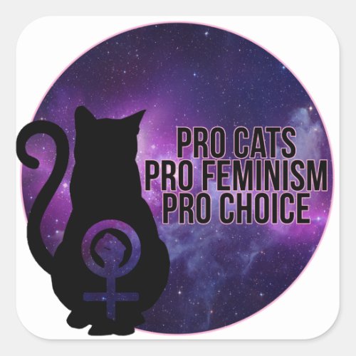 Pro Cats Pro Feminism Pro Choice Square Sticker