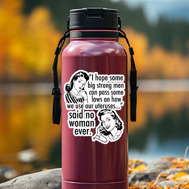 Pro Choice Humor Retro Political Cartoon Feminist Sticker (Creator Uploaded)