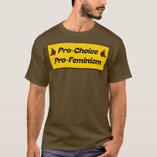 Pro Choice Pro Feminism1 T-Shirt