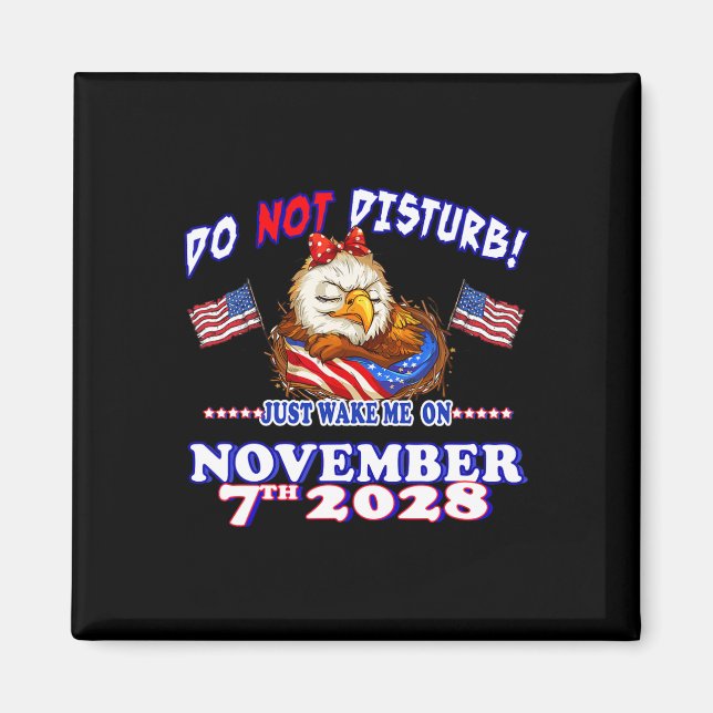 Pro Democracy Fourth July 4th Sarcastic Election E Magnet (Front)