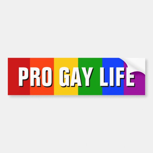 PRO GAY LIFE BUMPER STICKER | Zazzle