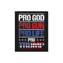 Pro God Pro Gun Pro Life Pro Trump Election