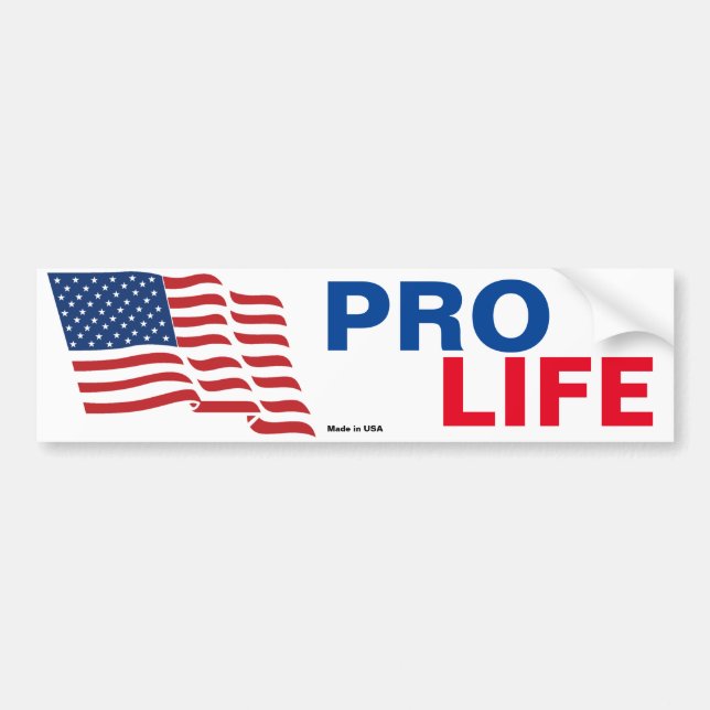 Pro Life Bumper Sticker (Front)