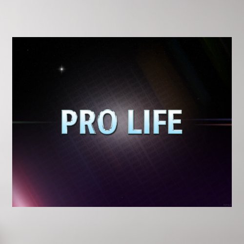 Pro Life Poster