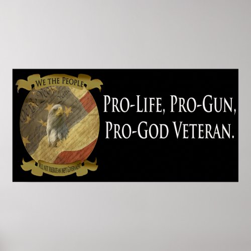 PRO LIFE PRO GUN PRO_GOD   Poster