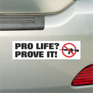 Pro Life? Prove It! - Ban Assault Weapons Car Magnet