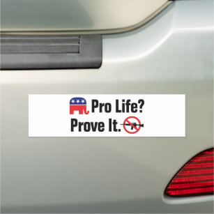 Pro Life? Prove It - Ban Assault Weapons Car Magnet