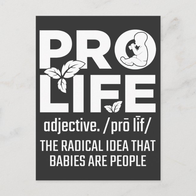 Pro Life Support Baby Anti Abortion Human Rights Postcard (Front)