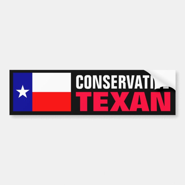 Pro-Life Texan Bumper Sticker (Front)