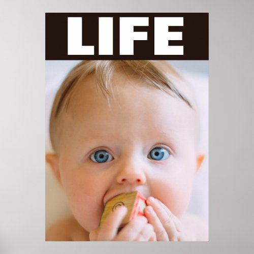 PRO_LIFE TODDLER BABY INFANT LIFE POSTER