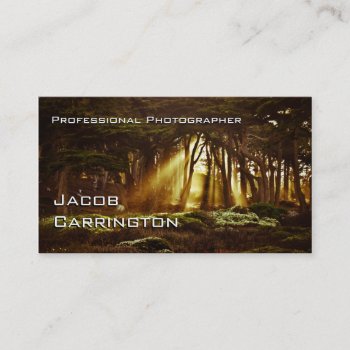 Pro Photography (forest 3) Business Card by pixelholicBC at Zazzle