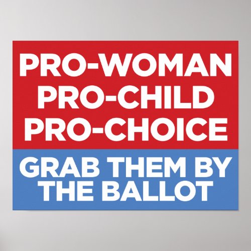 Pro_Woman Pro_Child Pro_Choice 16x12 Window Poster
