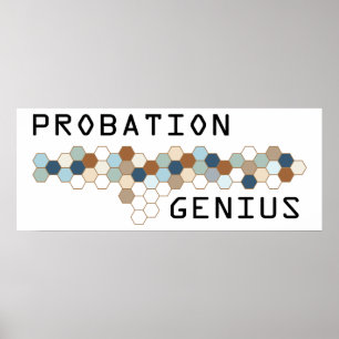 Probation Genius Poster