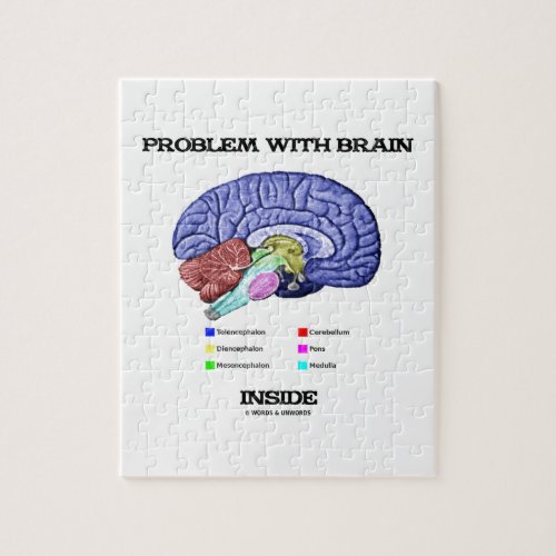 Problem With Brain Inside Brain Anatomy Jigsaw Puzzle