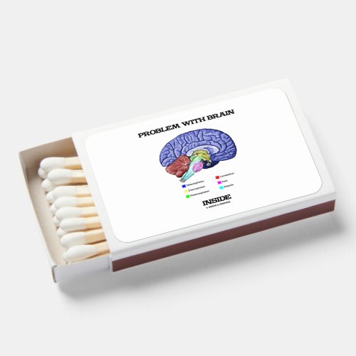 Problem With Brain Inside Brain Anatomy Matchboxes
