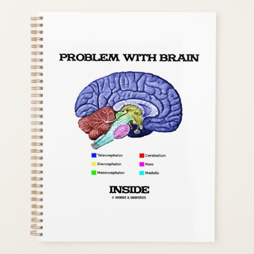 Problem With Brain Inside Brain Anatomy Planner