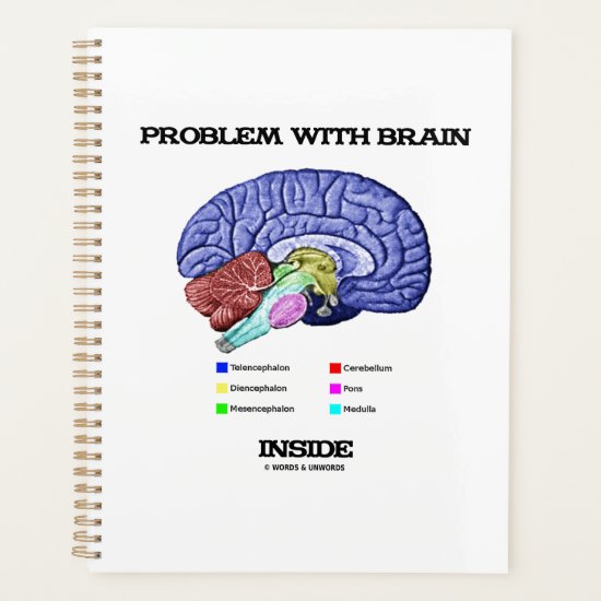 Problem With Brain Inside Brain Anatomy Planner