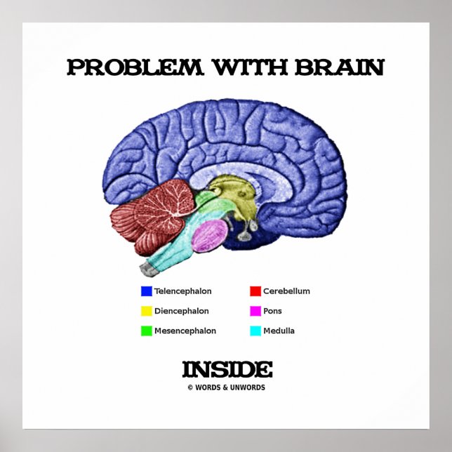 Problem With Brain Inside (Brain Anatomy) Poster (Front)