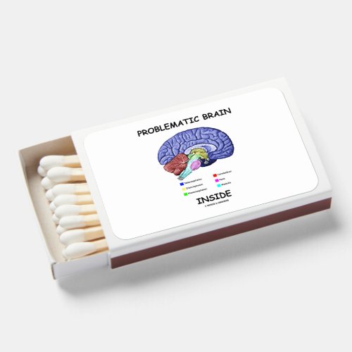 Problematic Brain Inside Brain Anatomy Matchboxes