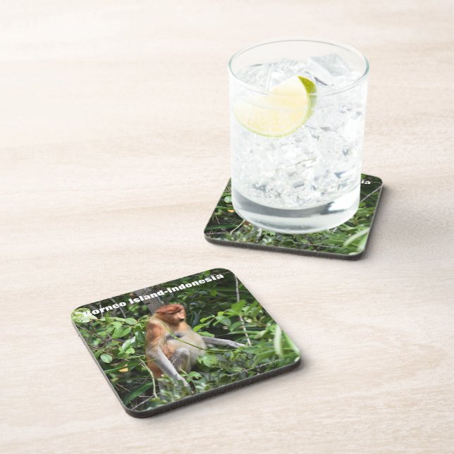 Proboscis Monkey Borneo Beverage Coaster (Right Side)