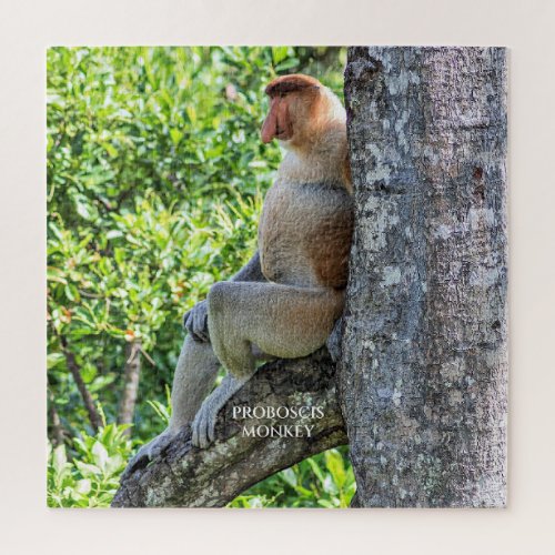 Proboscis Monkey Jigsaw Puzzle