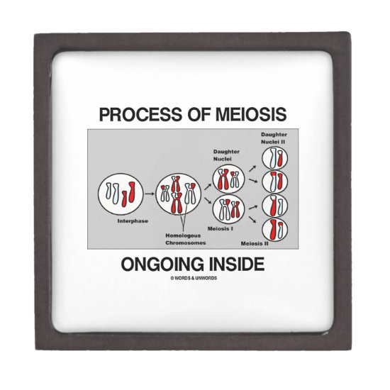 Process Of Meiosis Ongoing Inside Jewelry Box