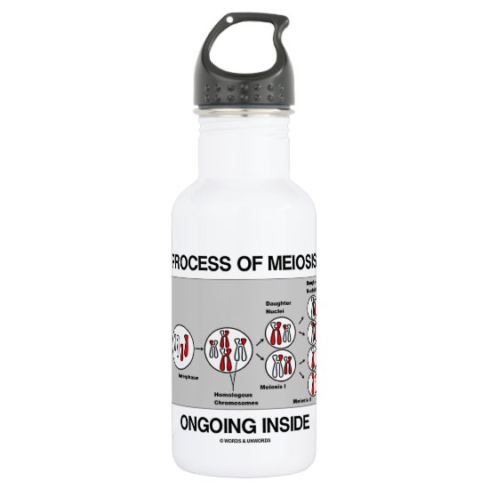 Process Of Meiosis Ongoing Inside Stainless Steel Water Bottle