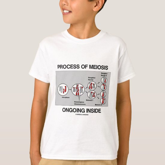 Process Of Meiosis Ongoing Inside T-Shirt