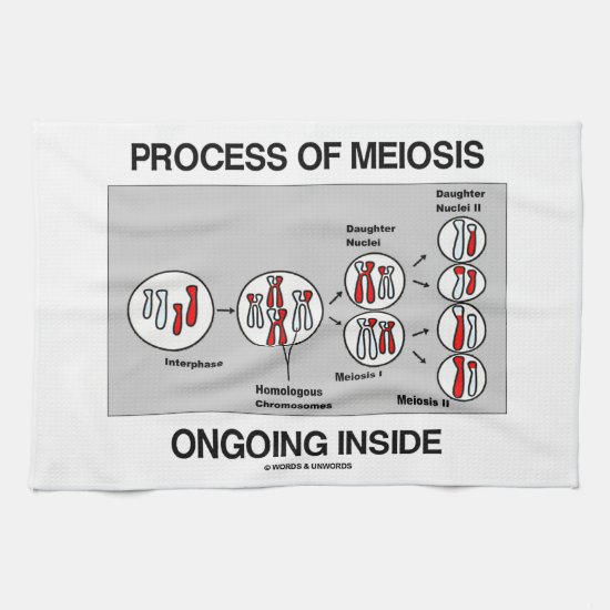 Process Of Meiosis Ongoing Inside Towel