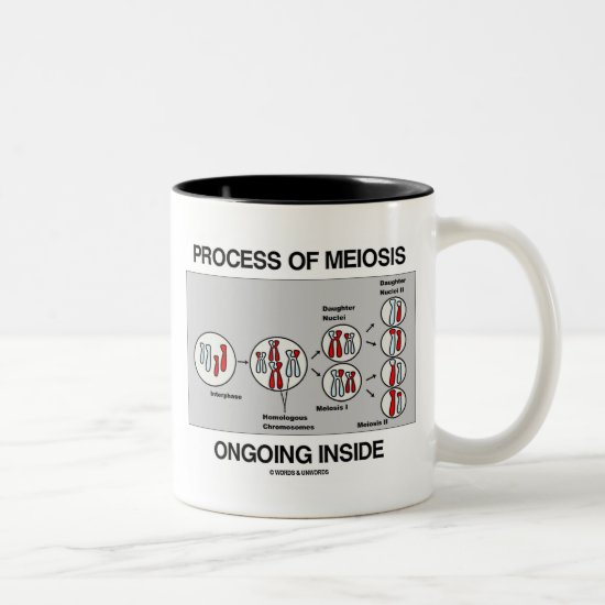 Process Of Meiosis Ongoing Inside Two-Tone Coffee Mug