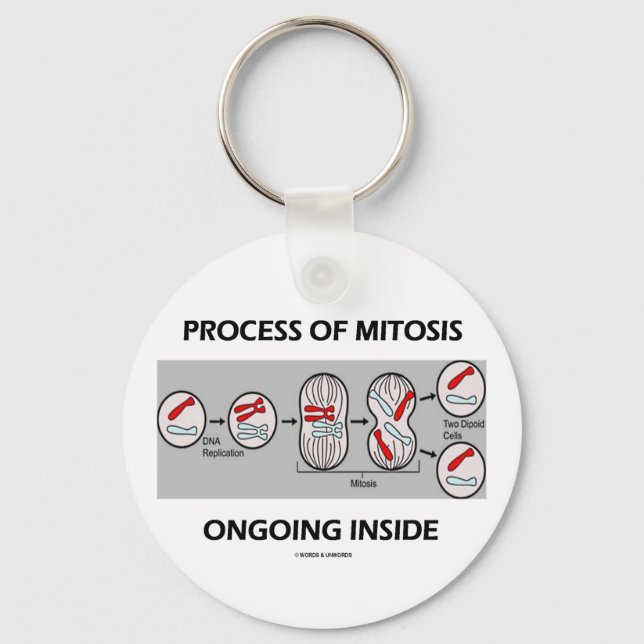 Process Of Mitosis Ongoing Inside Keychain (Front)