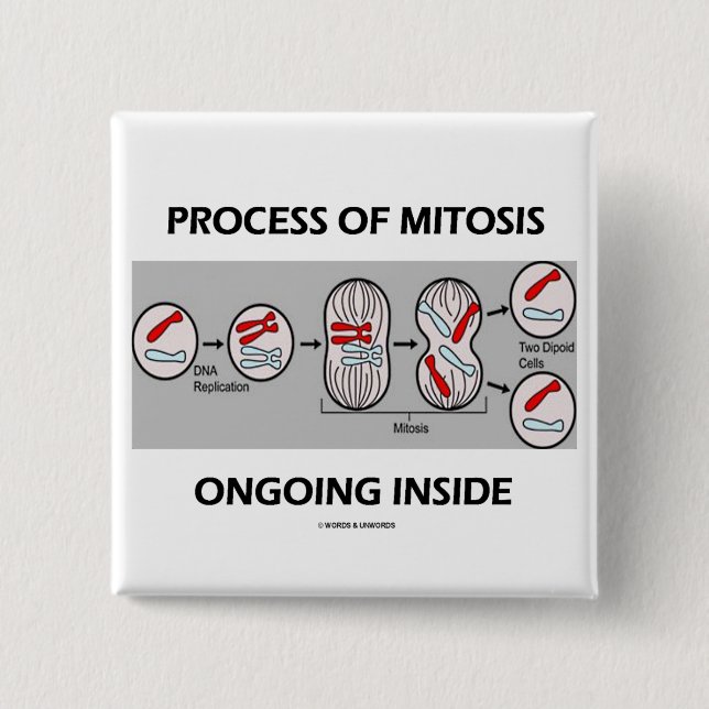 Process Of Mitosis Ongoing Inside Pinback Button (Front)