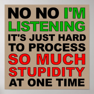 Process Your Stupidity Funny Poster Sign