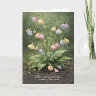 Procrastina indecisa The Indecisive Procrastinator Card