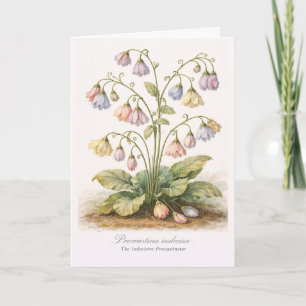 Procrastina indecisa The Indecisive Procrastinator Card