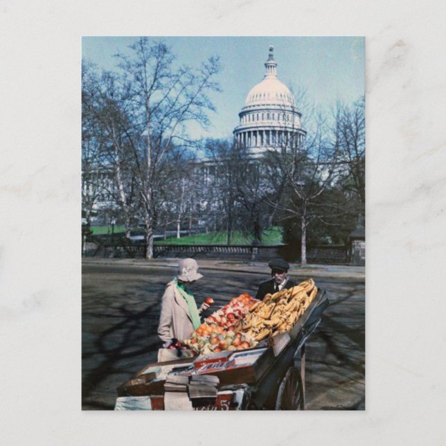 Produce Sales From Cart, 1920's Washington DC Postcard (Front)
