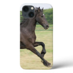 Product iPhone 13 Case