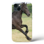 Product iPhone 13 Case