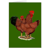 Production Red Chickens (Front)