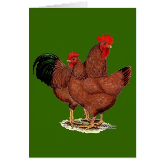 Production Red Chickens Cards (Front)