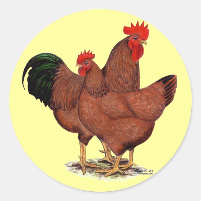 Production Red Chickens Classic Round Sticker (Front)