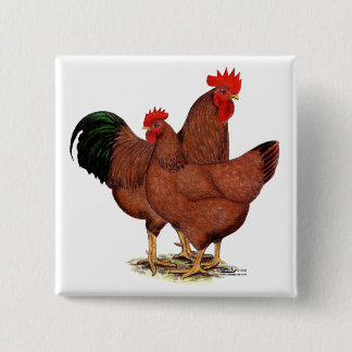 Production Red Chickens Pinback Button