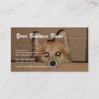 Professional Animal Grooming Business Cards